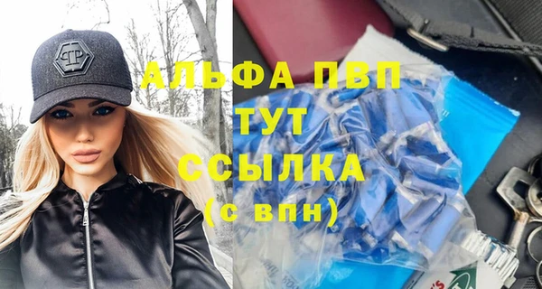 PSILOCYBIN Семёнов